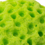 Baby bath sponge - green
