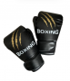Boxing training gloves- Claw mark