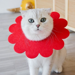 Cat decoration Elizabeth circle - size:M red