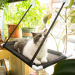 Cat hammock sucking disc - black single layer