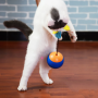 Cat Toy - BLUE (TR)