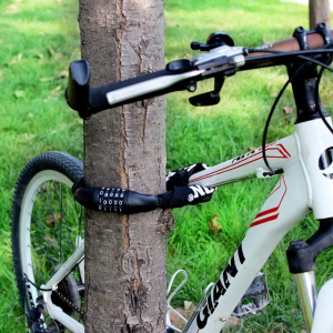 Chain lock mountain bike