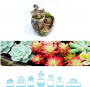 Creative aerial home garden succulent flower pot, micro-landscape homes 13.5*13*10.5cm
