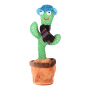 Dancing Cactus- Blue cap