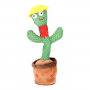 Dancing Cactus- Yellow cap