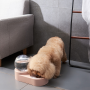 Double dog bowl with drinker - pink(without stainless steel)