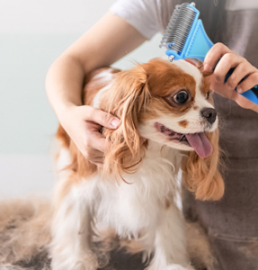 Double-sided to prevent hair knot comb / Pet hair cleaning comb 18.4*8.4cm - blue CS52