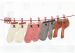 Elastyczna linka do suszenia prania z 12 klamerkami - czerwona
