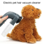 Electric pet hair remover