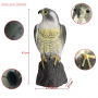 Fake eagle bird repellent Plastic furnishing articles - eagle