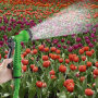 Garden-Hose 10m-30m
