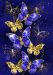 Haft Diamentowy/ Obraz 5D/ Mozaika Diamentowa/ Diamond Painting - motyle, rozm. 40x50 cm