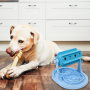 Interaktywny dozownik pokarmu dla psa - niebieski