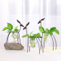 Iron deer ornaments, glass containers plant floral arrangements - medium