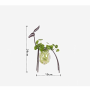 Iron deer ornaments, glass containers plant floral arrangements - medium