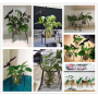 Iron deer ornaments, glass containers plant floral arrangements - medium