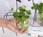 Iron deer ornaments, glass containers plant floral arrangements - medium