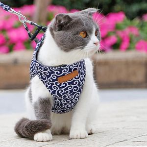 Leash for Cat and Dog - Blue Color S Size