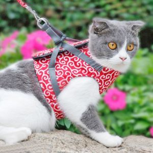 Leash for Cat and Dog - Red Color S Size