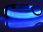 LED Dog Collar Night Flash Nylon BLUE L