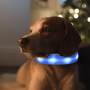 LED Dog Collar Night Flash Nylon BLUE S