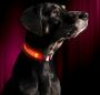 LED Dog Collar Night Flash Nylon Orange L