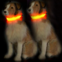 LED Dog Collar Night Flash Nylon Orange M