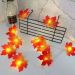 LED Maple Leaf Lamps Christmas Lanterns 2M (20 bubble) - type 1