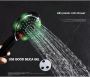 LED temperature display shower head - Black Color