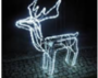 Light Rindeer-11m