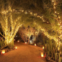 Outdoor waterproofing Solar LED lamp string remote control 22M - warm white light