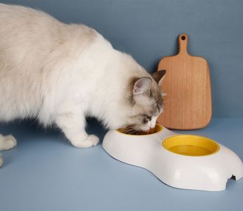 Pet bowl bone type - white
