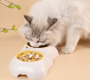 Pet bowl bone type - white