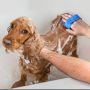 Pet Clean Massage shower Brush / rubber gloves - green CX24