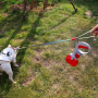 Pet fecal collector - Red
