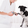 Pets cleaning kit- CWT02