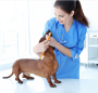 Pets cleaning kit- CWT02