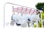 Plastic folding clothes hanger-29 clips -pink