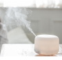 Plastic Incense Burner/Aroma Diffuser with Night Lamp