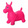 Plastic Inflatable Donkeys - Pink Color