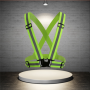 Reflective Vest