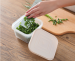 Refrigerator storage box water drain rack - cream white