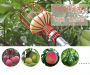 Removable fruit picker red - 10 pcs