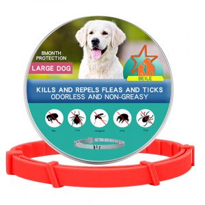 Retractable Mosquitoes Repellent Large dog Collars-Orange