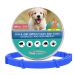 Retractable Mosquitoes Repellent Small dog Collars-Blue