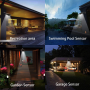 Solar Lamp LED- model 808B
