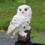 Solar owl plug-in lamp Garden white