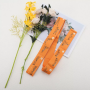 Stretching Strap 90 * 4cm- Yellow