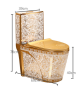 Toilet for Bathroom - Golden