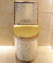 Toilet for Bathroom - Golden